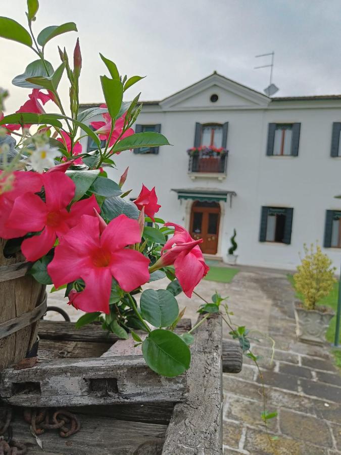 Greggio Farm stay *