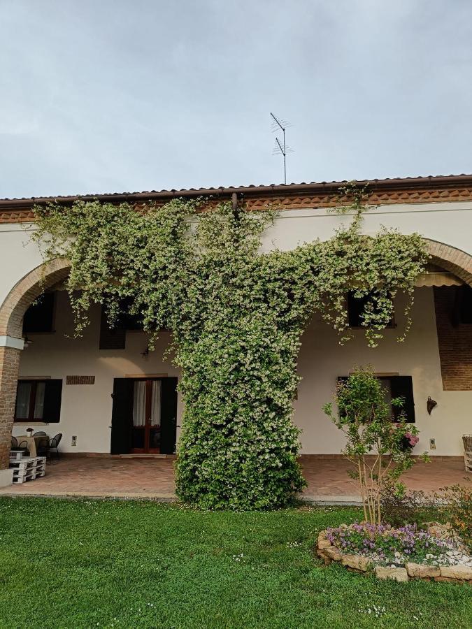 Greggio Farm stay *